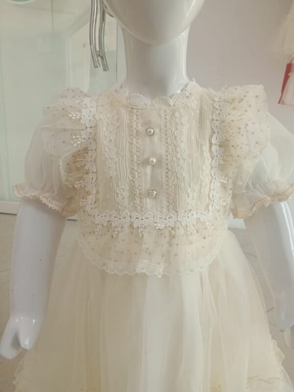 Girls Fancy Frock