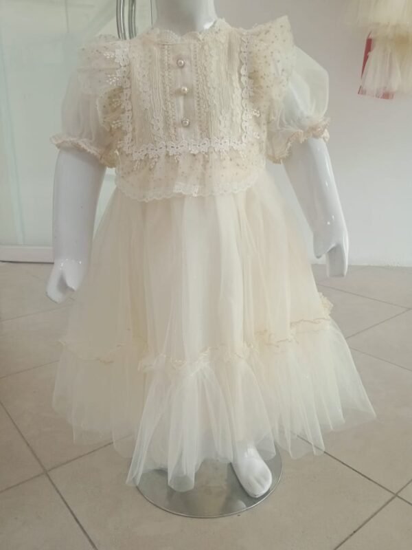 Girls Fancy Frock - Image 4