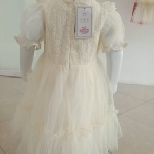 Girls Fancy Frock