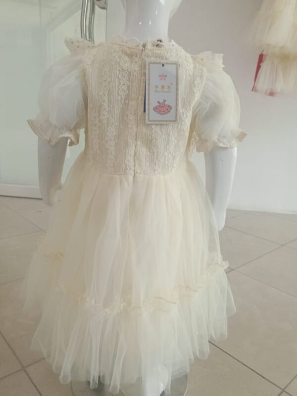 Girls Fancy Frock - Image 2