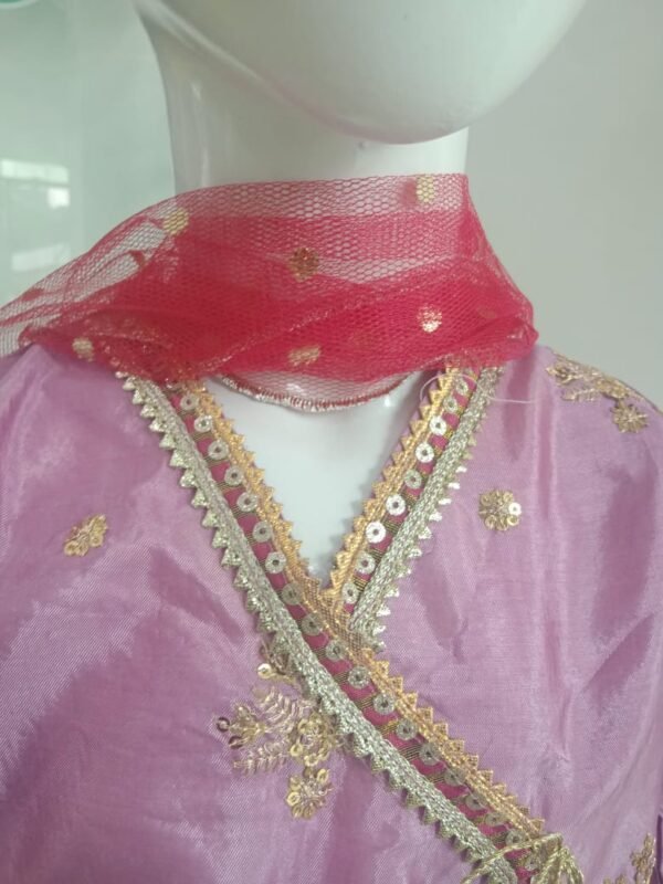 Girls. Party Wear Sharara Set - Image 3