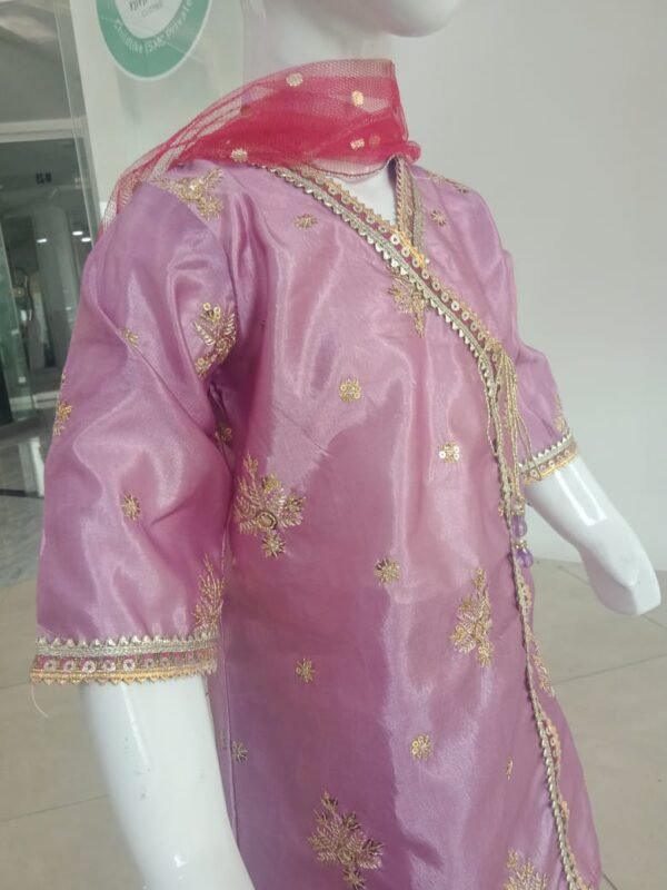 Girls. Party Wear Sharara Set - Image 4