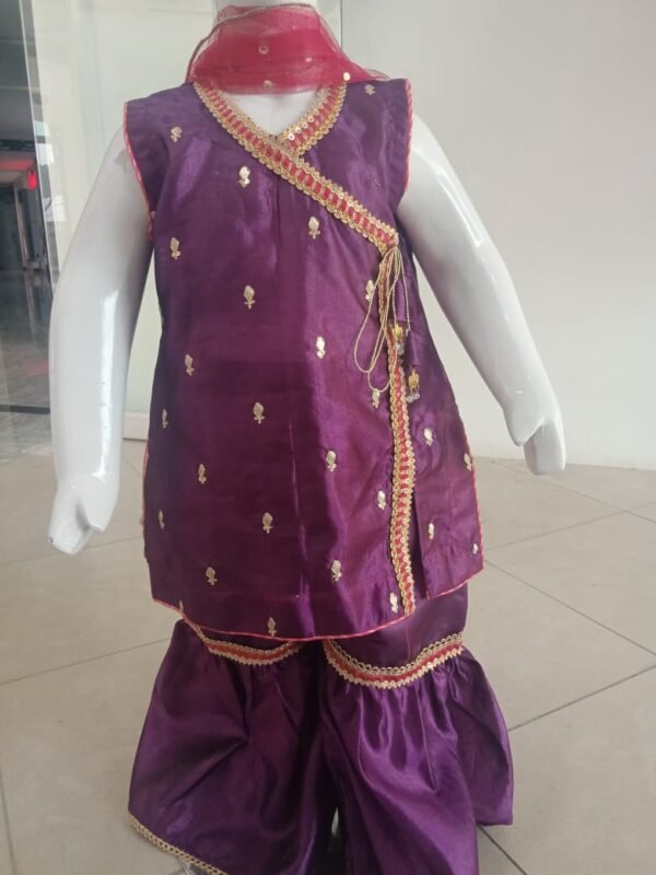 Girls Party Wear Sharara Set - Image 4