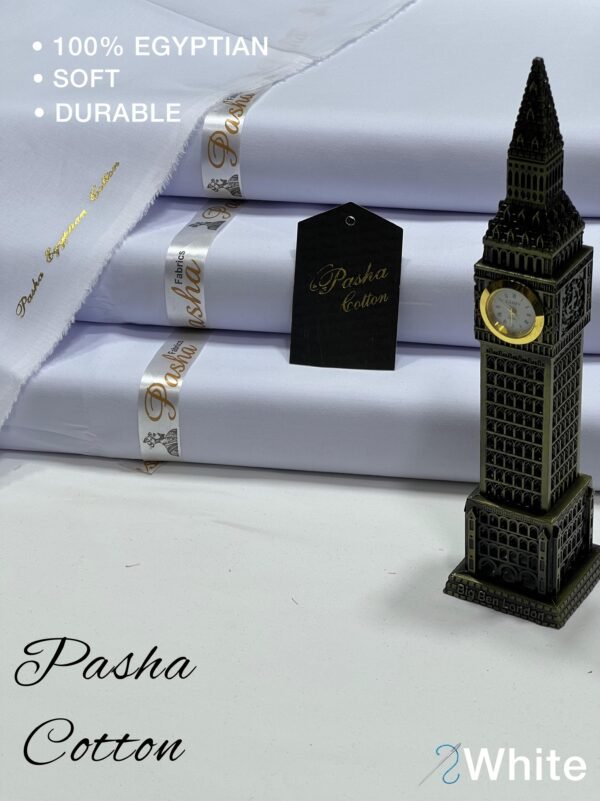 PASHA Men’s Luxury Suit - Image 11